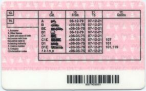 Driving licence