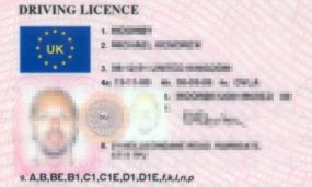 Driving Licence